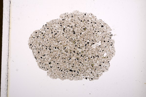 Plane Polarized, E13217