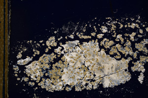 Cross Polarized, E13223