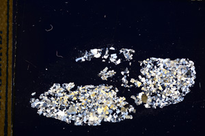 Cross Polarized, E13224