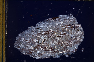 Cross Polarized, E13225