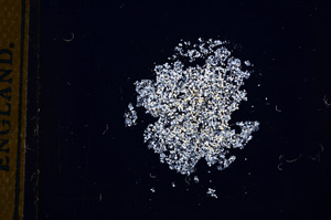 Cross Polarized, E13226