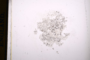 Plane Polarized, E13226