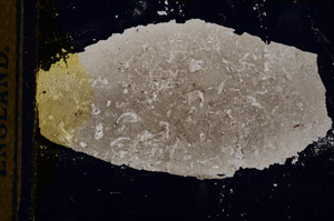 Cross Polarized, E13229