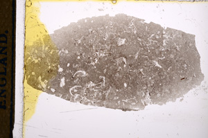 Plane Polarized, E13229