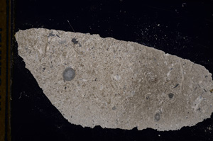 Cross Polarized, E13230