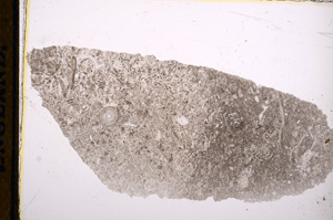 Plane Polarized, E13230