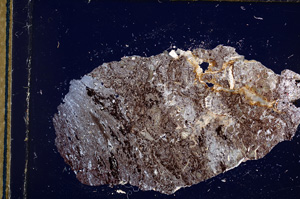 Cross Polarized, E13231