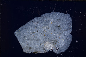 Cross Polarized, E13233