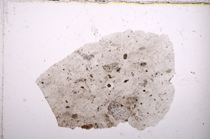 Plane Polarized, E13233