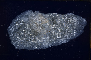 Cross Polarized, E13234