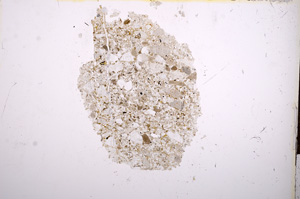 Plane Polarized, E13239