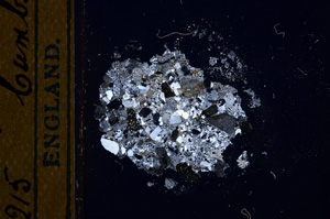 Cross Polarized, E13242