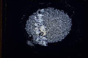 Cross Polarized, E13243