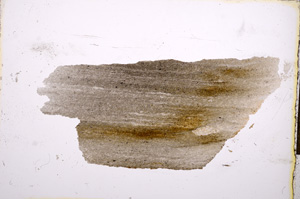 Plane Polarized, E13247