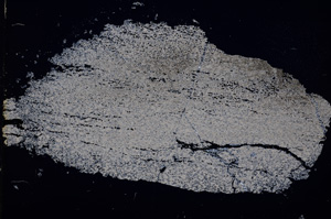 Cross Polarized, E13248