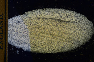 Cross Polarized, E13249