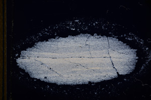 Cross Polarized, E13252