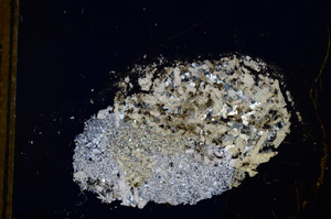 Cross Polarized, E13257