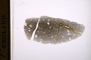 Plane Polarized, E13273