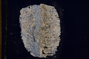 Cross Polarized, E13280