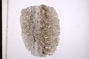 Plane Polarized, E13280