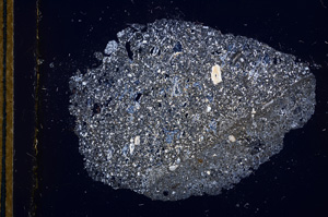 Cross Polarized, E13293