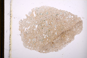 Plane Polarized, E13293