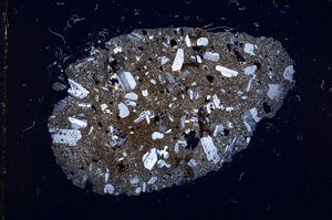 Cross Polarized, E13294