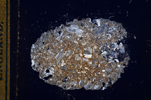 Cross Polarized, E13295