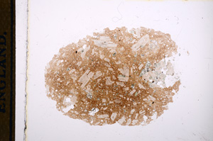 Plane Polarized, E13295