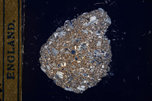 Cross Polarized, E13298