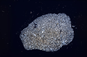 Cross Polarized, E13299