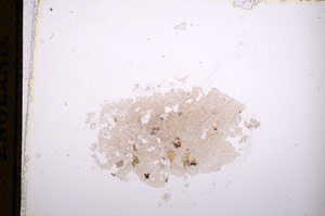 Plane Polarized, E13301