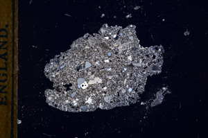 Cross Polarized, E13338