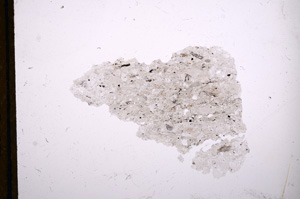 Plane Polarized, E13367