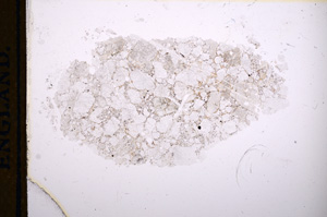 Plane Polarized, E13368