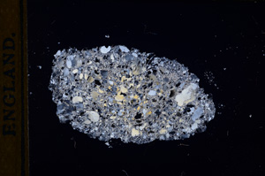 Cross Polarized, E13369