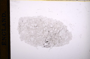 Plane Polarized, E13369