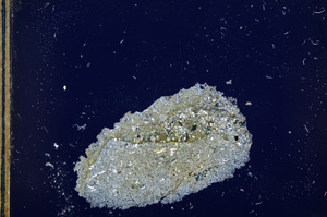 Cross Polarized, E13376