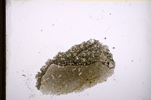 Plane Polarized, E13376