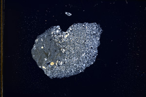 Cross Polarized, E13378