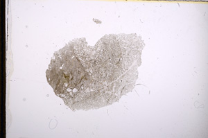 Plane Polarized, E13378