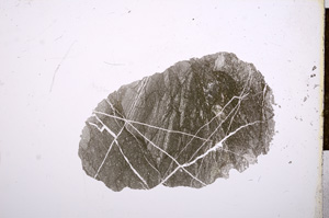 Plane Polarized, E13379