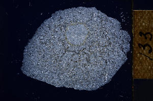 Cross Polarized, E13382