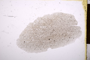 Plane Polarized, E13383