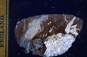 Cross Polarized, E13384