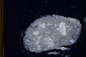 Cross Polarized, E13385