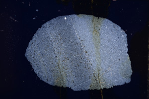 Cross Polarized, E13390