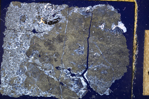 Cross Polarized, E13398