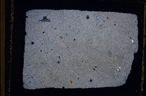 Cross Polarized, E13400